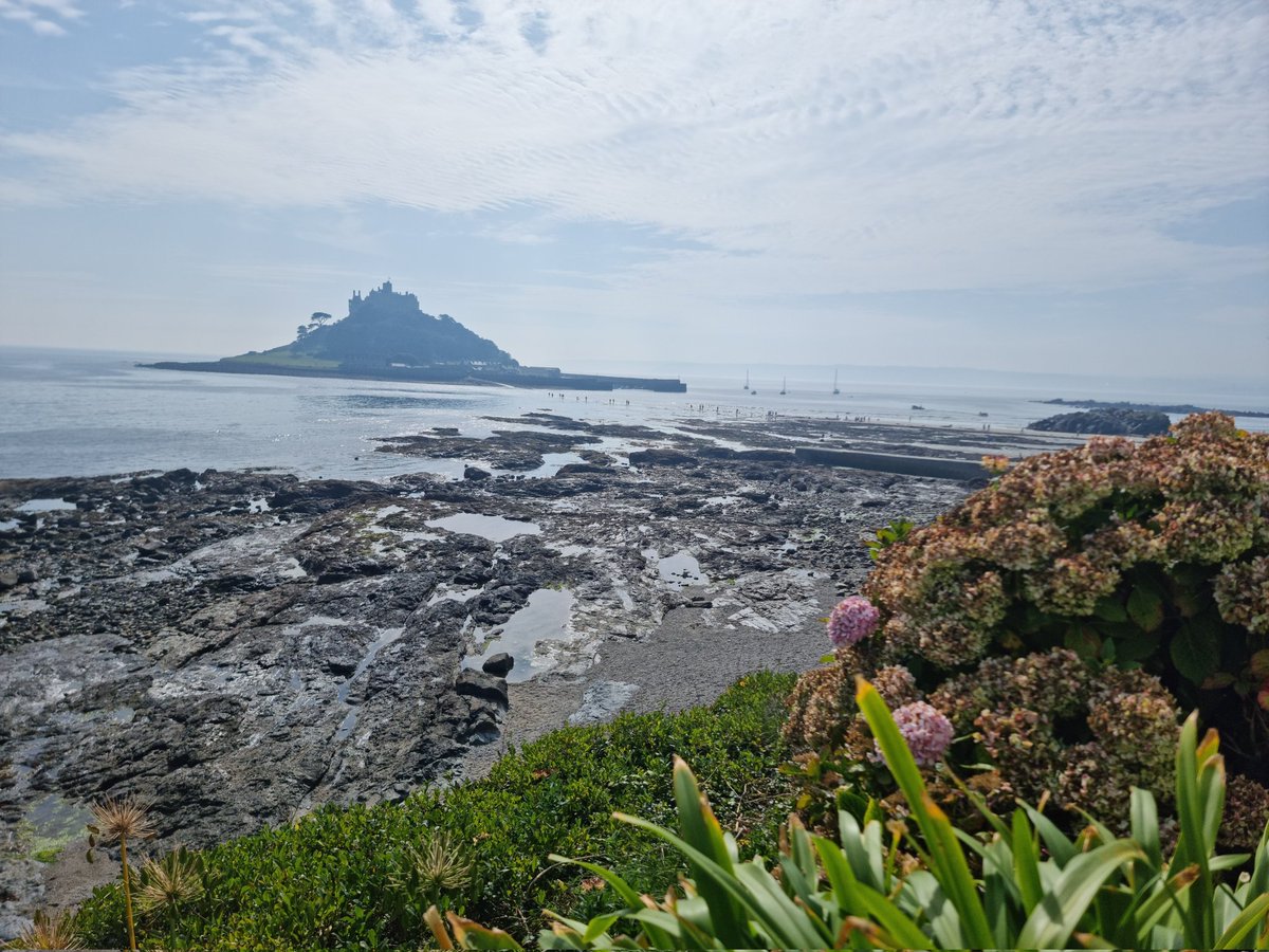 Maria Treseder tweet media