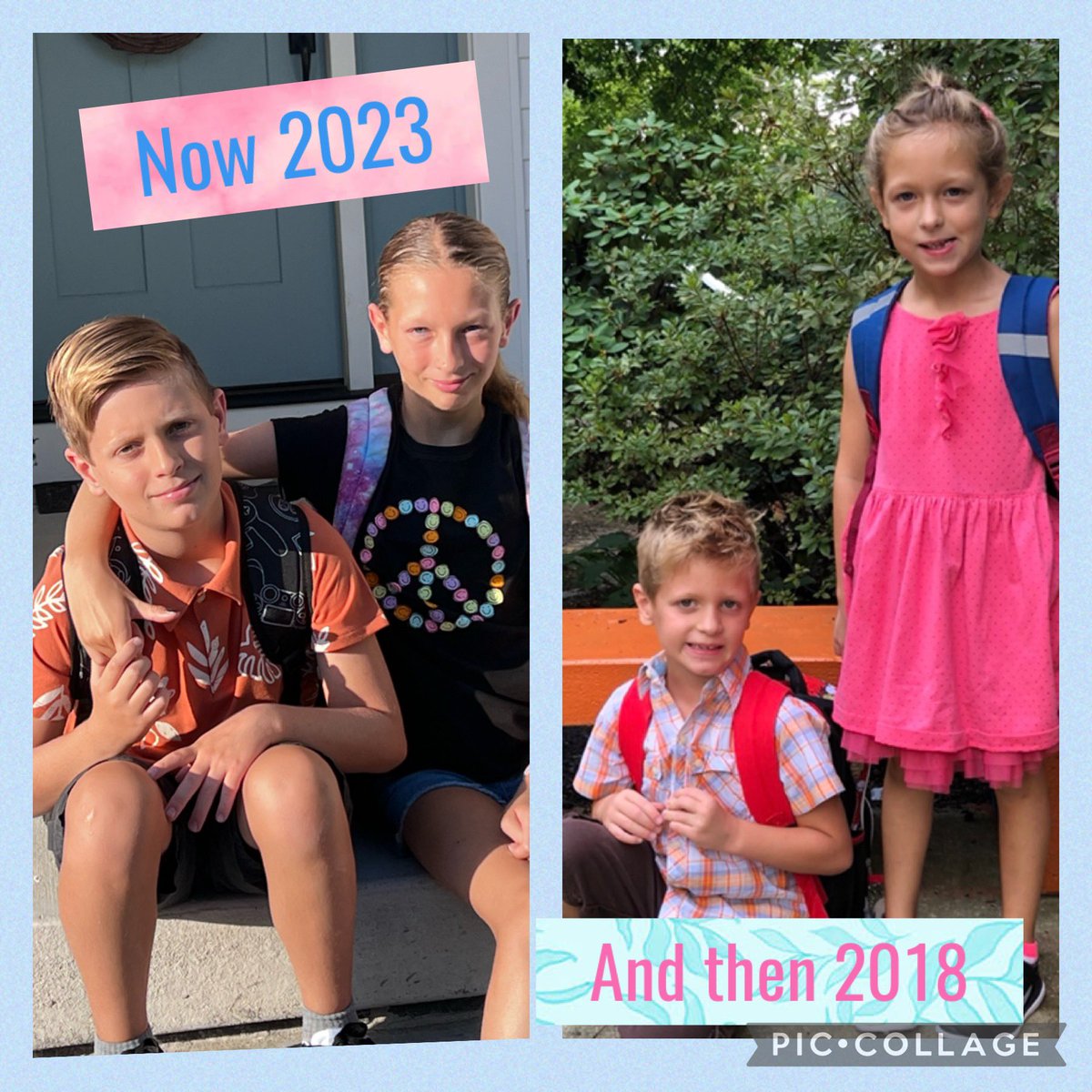 Amy Mallon tweet media