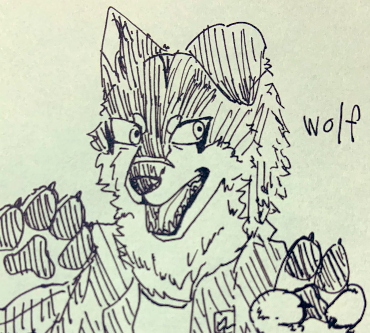 wolf🐺 tweet media