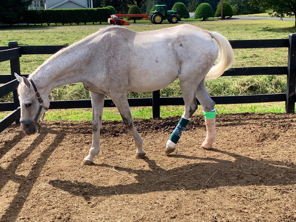 Racing for Home, Inc tweet media