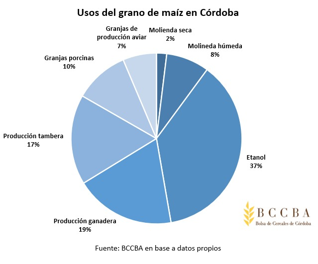 [Economía] 📍Córdoba

🏭La industrialización del maíz crece en Córdoba

📈 Superará las 4millones de toneladas, lo que representa en promedio un 27% de la producción provincial.

💻 bit.ly/45Iczpd
