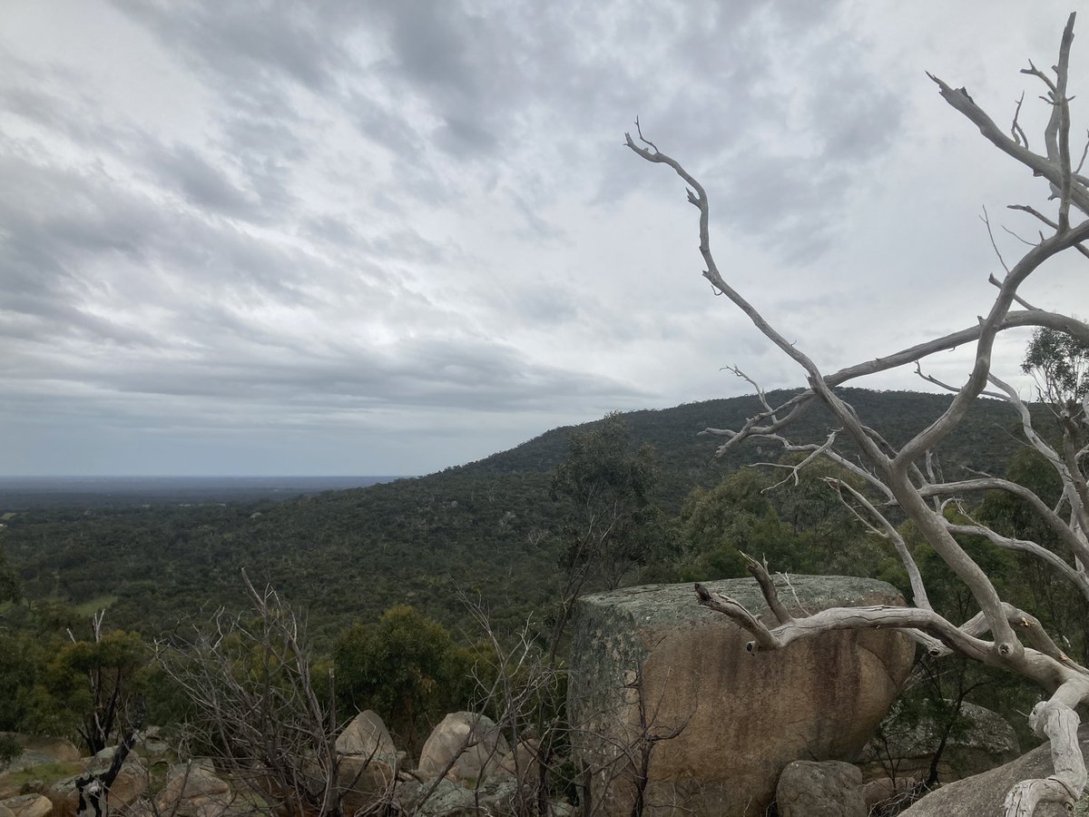 FacetiousDomo's tweet photo. @GavHarris4 @Christi05571146 @troycassardaley Weβre with you here in Victoria.
From Bunjils shelter today π
#VoteYesAustralia #VoteYes23 #VoteYes #Gariwerd https://t.co/4HCaERvA9l