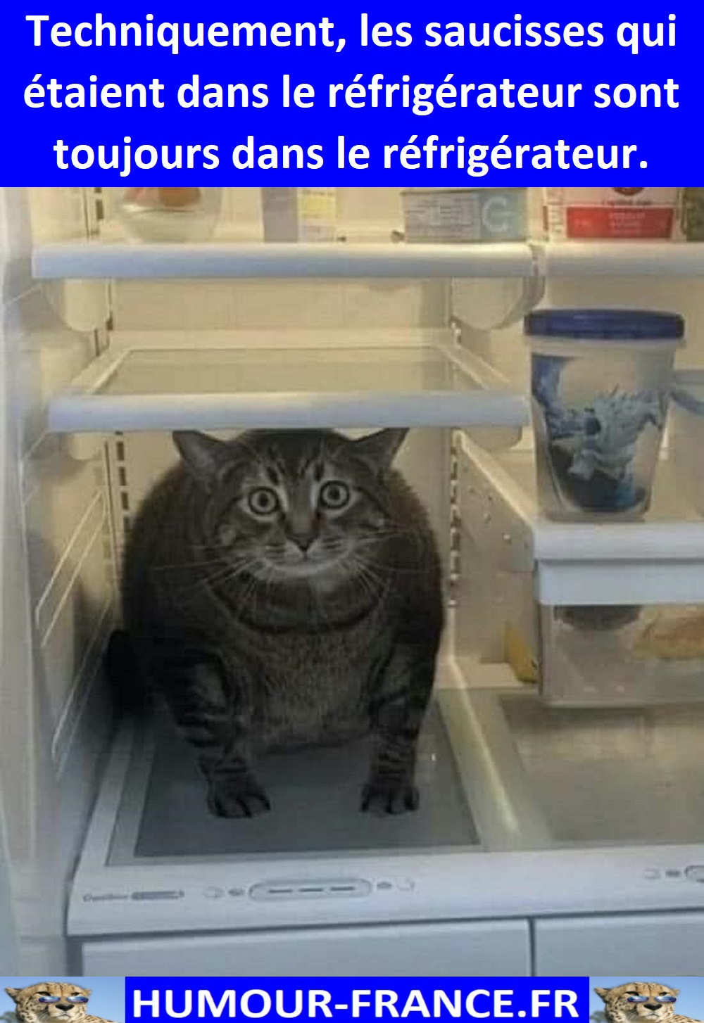 text alternatif