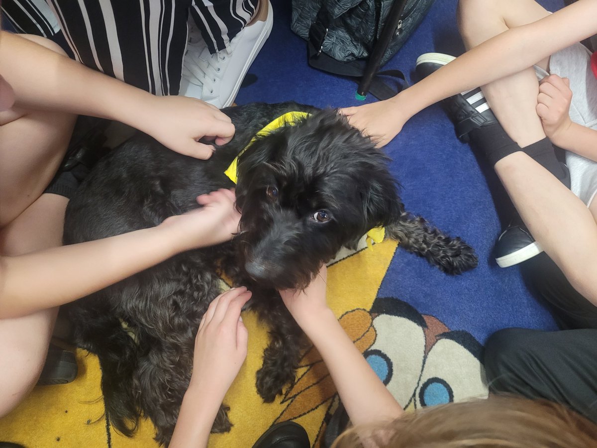 Thank you Belle and Gail for your visit today. To quote one of our Primary 4 "This was the best day of my life" #Therapet <a href="/CanineConcern/">CanineConcernTrust</a> <a href="/GailCla13457487/">Gail Clark</a>