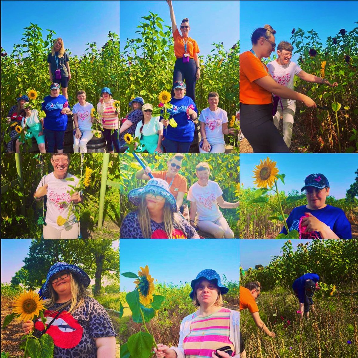 Thrive CIC Hindley tweet media