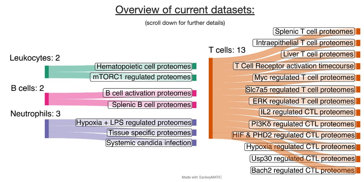 Alejandro Brenes (@aj_brenes) on Twitter photo A milestone for <a href="/ImmPRes_/">Immunological Proteome Resource</a> . We have integrated 20 murine #proteomic datasets covering the adaptive and the innate immune system.
On the human side we have a dataset with hundreds of human peripheral blood neutrophil proteomes also available. #openaccess #datasharing A milestone for <a href="/ImmPRes_/">Immunological Proteome Resource</a> . We have integrated 20 murine #proteomic datasets covering the adaptive and the innate immune system.
On the human side we have a dataset with hundreds of human peripheral blood neutrophil proteomes also available. #openaccess #datasharing