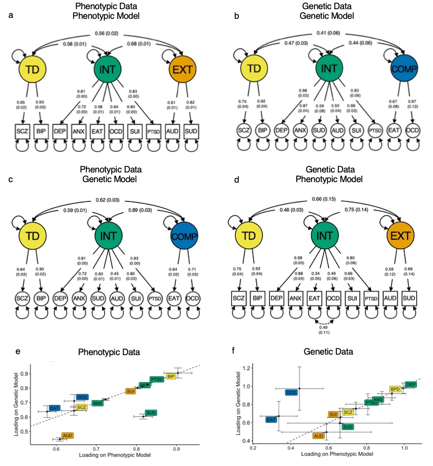 [3/6] and it was apparent at the factor level! EXTernalizing &amp; COMPulsive factors were differentially related to other disorders phenotypically &amp; genetically.
Since we ruled out sampling bias, environmental effects may explain why phenotypic correlations deviate from genetic ones