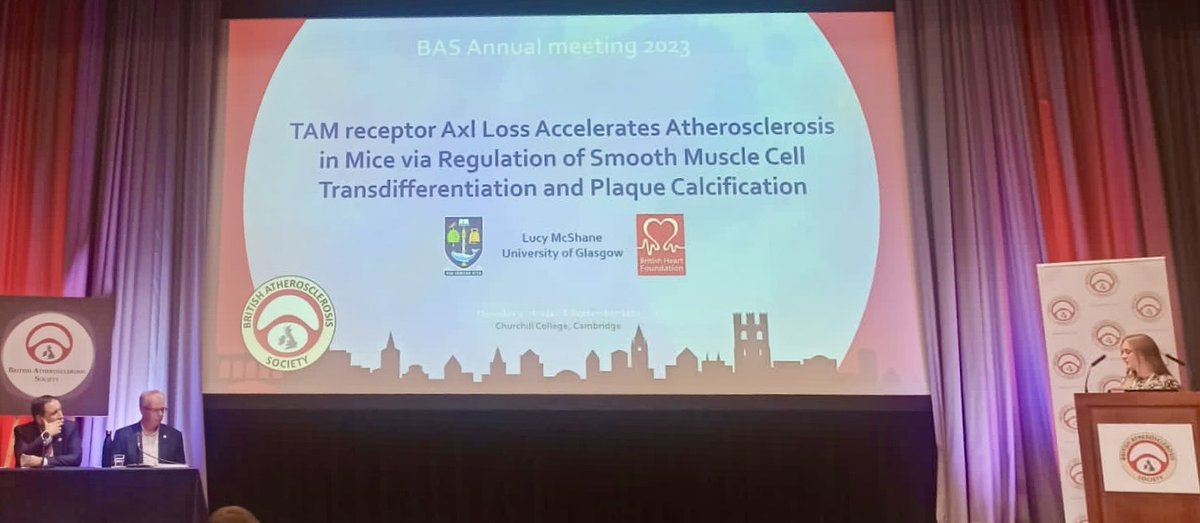 And now our researcher @lucymc5893 discussing her project on the role of TAM receptor AXL on SMC transdifferentiation and plaque calcification in atherosclerosis. @britathsoc @NanoMateScience @CVR_TomaszGuzik @TheBHF @UofGSii #BAS2023