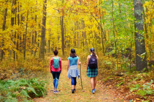 Chippewa National Forest tweet media