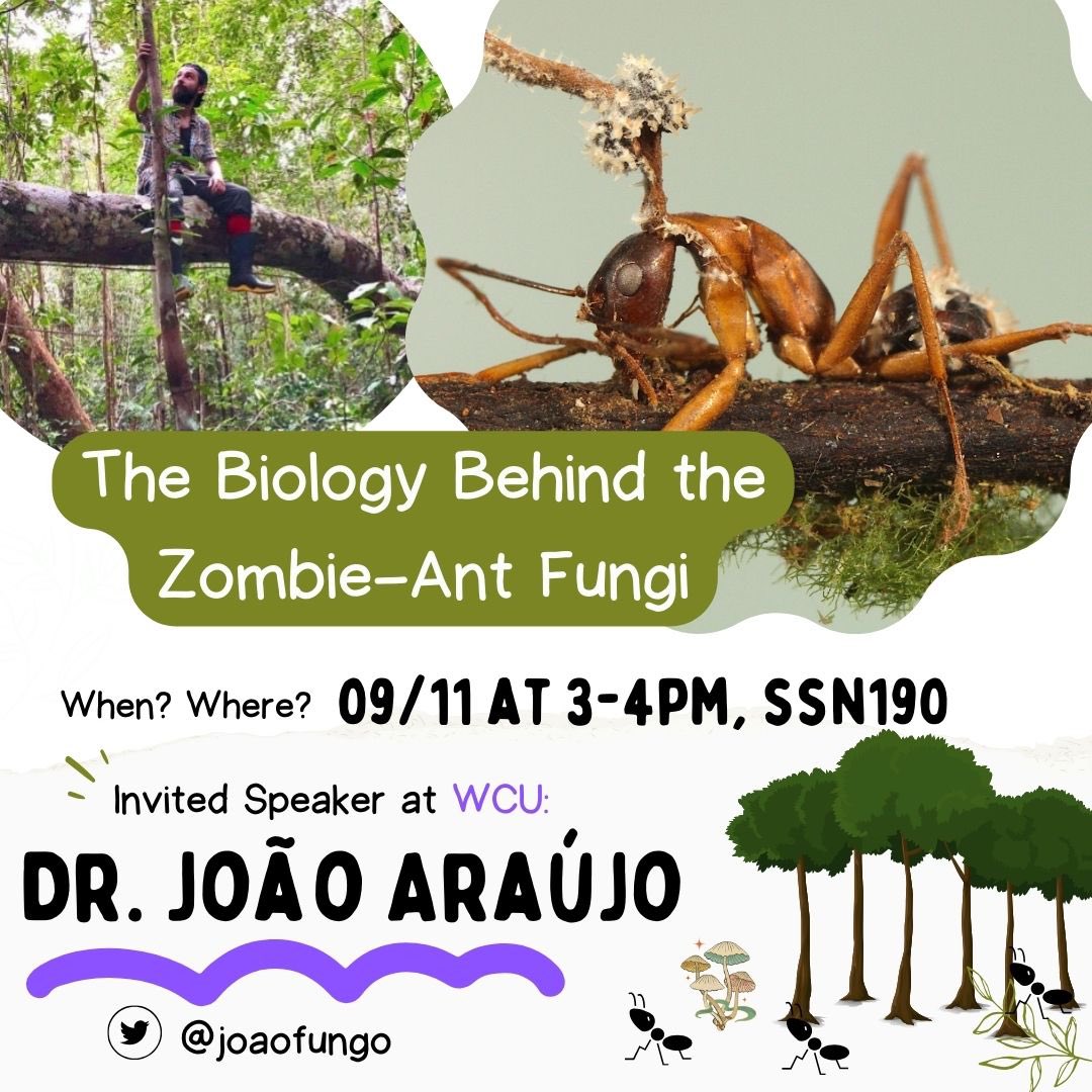 Do you like 'The Last of Us'? The #fungus that turns organisms into zombies? Don't miss this opportunity: the Department of Biology invites everyone at #WCU to Dr. João Araújo's talk on the fungus that transforms insects into #zombies. 📣Please share and help spread the word!