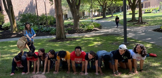 RobesonLibrary's tweet photo. More pictures from yesterday's Welcome Week Philly Goat Project/therapy dog event co-sponsored by the Student Wellness Center, Robeson Library & the Office of Disability Services!
#RutgersCamden #RutgersLibraries #WelcomeWeek https://t.co/XCPm0n9QXT