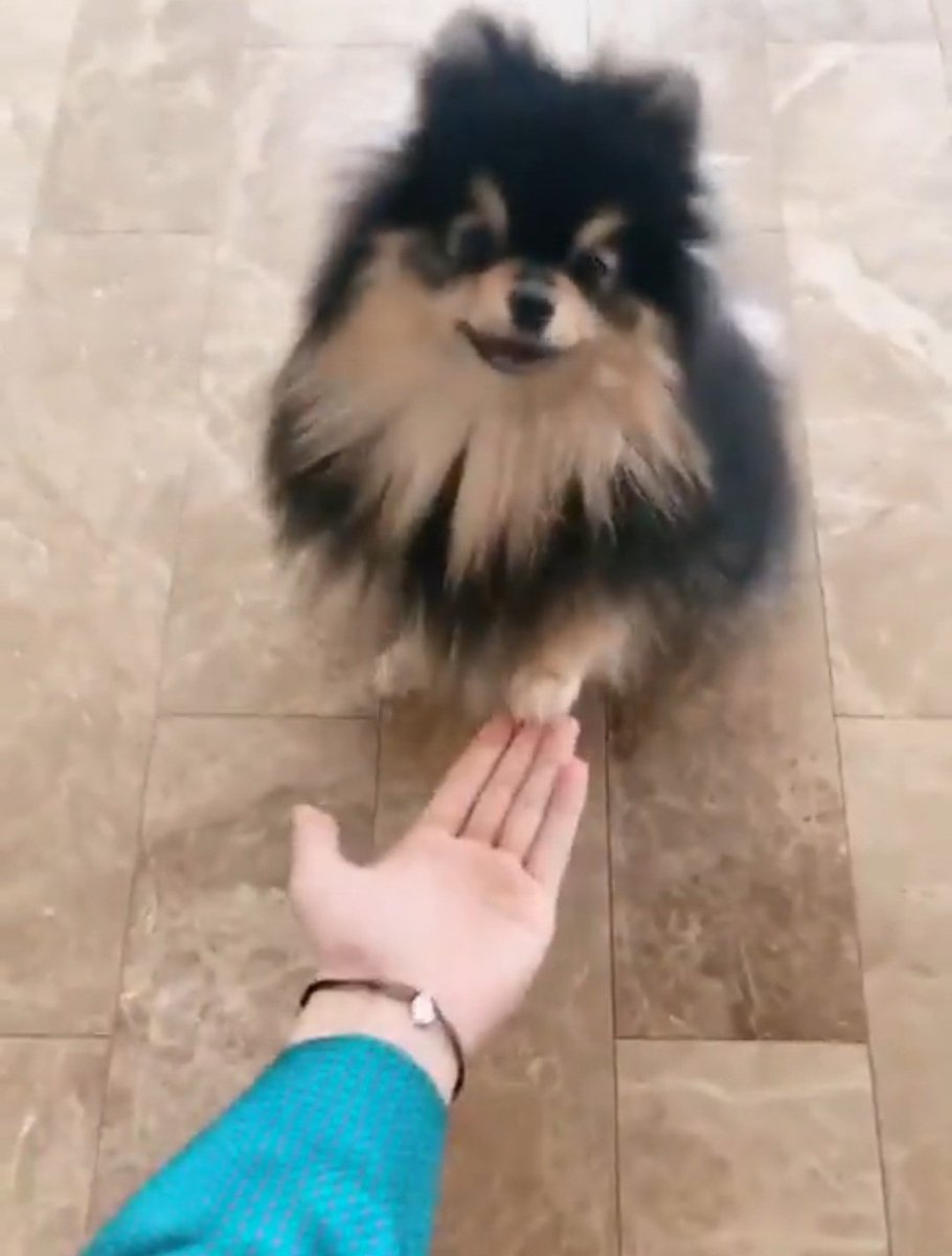 vmingtwi's tweet photo. 愛くるしいヨンタン💜
Happy Birthday 🎂 💐
いつまでもテテと共に✨
#HappyBirthdayYeontan
#6YearsWithYeontan 
#HappyYeontanDay https://t.co/YUWHHyVWKX