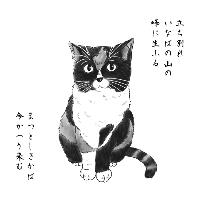 久しぶりに大泣きしました。 