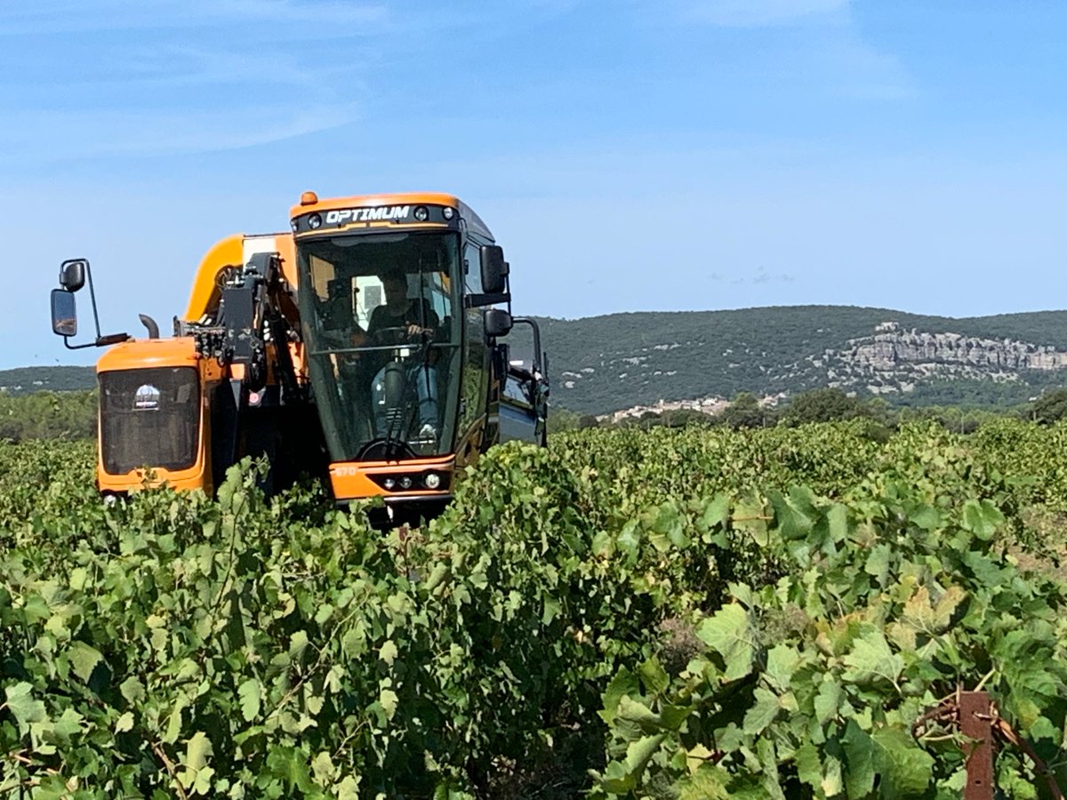 JMCambaceres's tweet photo. #LaGravette est ouverte depuis 24 août. En attendant vendanges à la main du #GFAmasMathieu ce week-end, avançons avec la machine, souvent tôt le matin. Après les #cabernet, maintenant les #syrah et demain les #viogner et muscat-petits grains. Il faut rentrer le plus vite possible https://t.co/3HY0Y60QrP