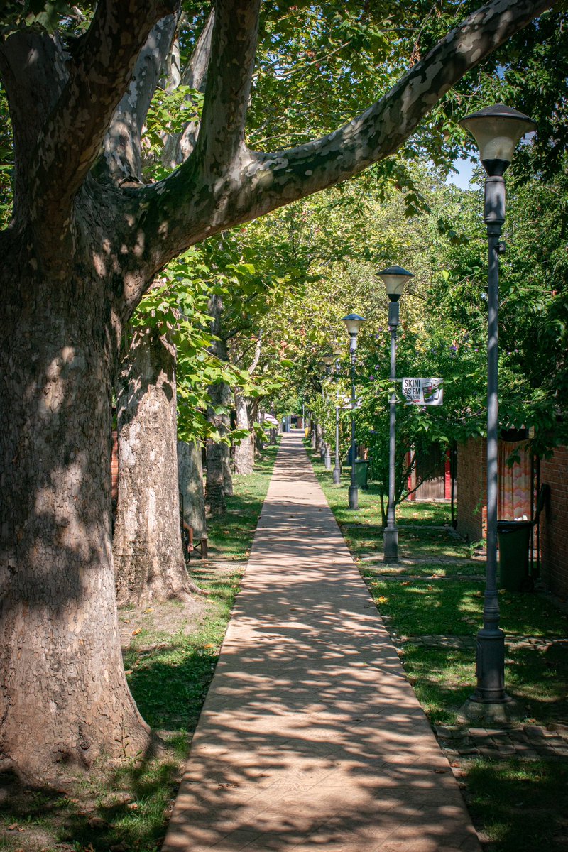 Marko Bogdanović tweet media