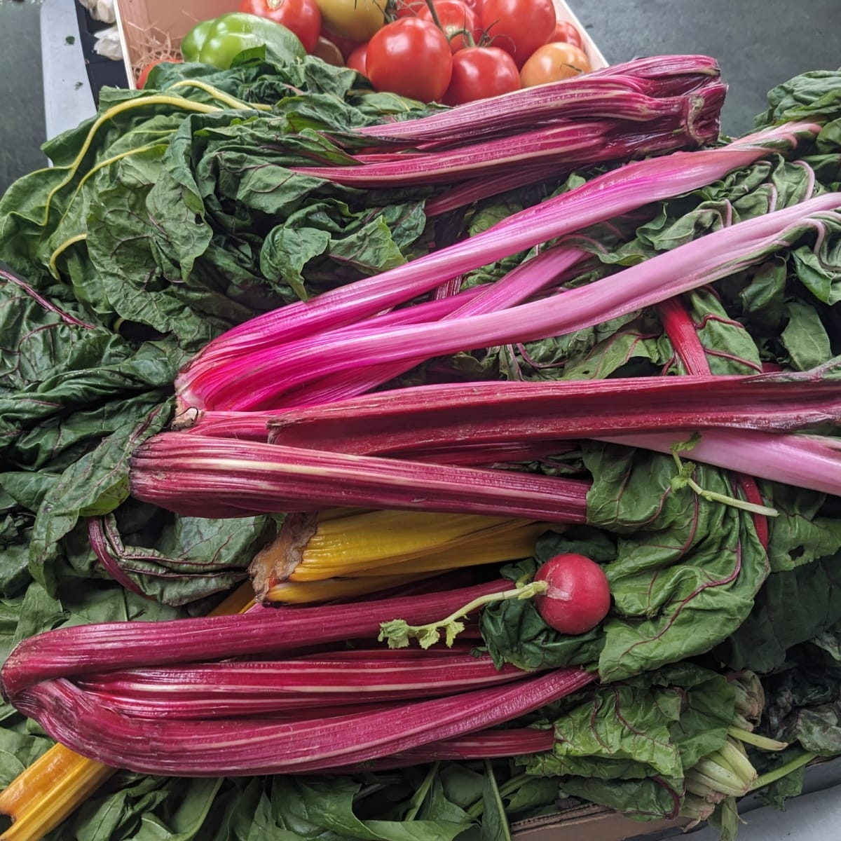🌈 Delicious rainbow chard rescued from a recent surplus food collection @boroughmarket! 🌈 Huge thank you to all the traders at Borough Market who donate incredible surplus food to our collections! Are you a business with surplus food to donate? DM us to learn how we can help.