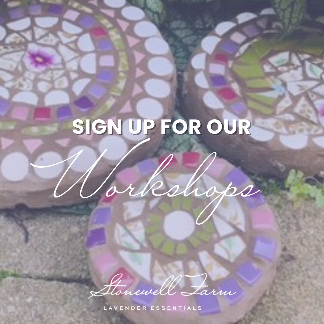 FarmStonewell's tweet photo. Thursday September 14, 1:30pm - 4pm

Elena from MEMOmosaics will teach you how to make your own garden mosaic! Working with ceramic and glass tiles you’ll create a Picassiette mosaic stepping stone. #mosaicworkshop 

Only a few spots left: Book now!
https://t.co/w2PzzOpXwu https://t.co/GX8LtSDXeP