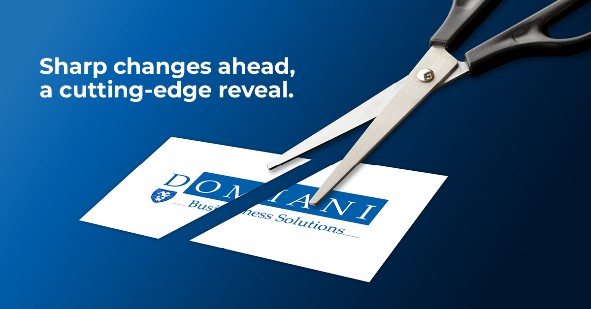 Domani Business Solutions tweet media