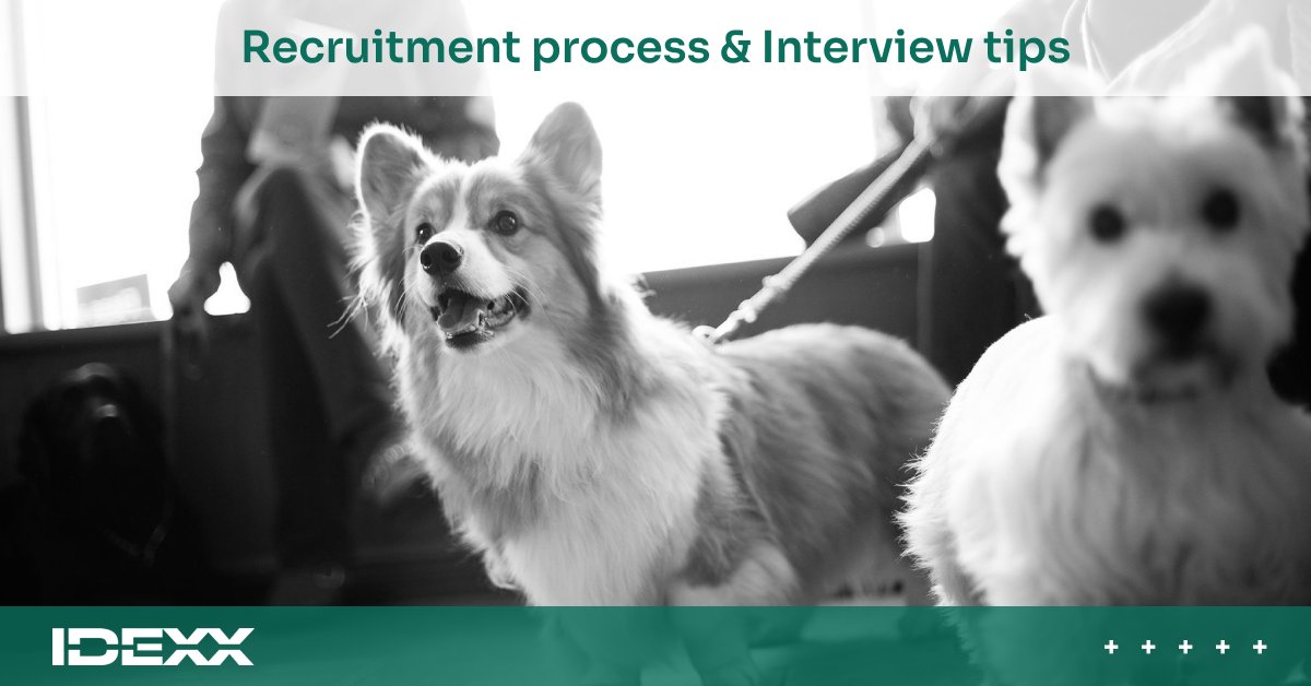 🐾 Are you about to apply for one of our roles and are you curious about what you can expect in the process? Read about our recruitment process and interview tips here so you feel at ease when talking with our HR and hiring teams! bit.ly/3Z9Tc67