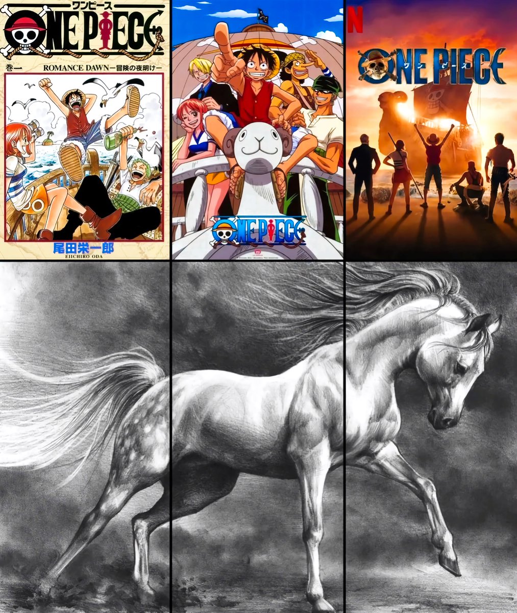 One Piece tweet media