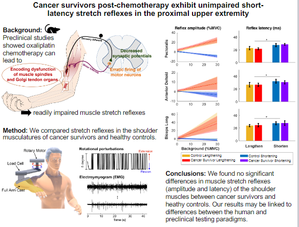 APSPublications's tweet photo. New in @JNeurophysiol: #Cancer survivors post-chemotherapy exhibit unimpaired short-latency stretch reflexes in the proximal upper extremity (Allison B. Wang et al.)
https://t.co/gnZVI0YKPv
@BingWang26 @ColinFranzMDphd @NorthwesternU #StretchReflex #Chemotherapy https://t.co/KdCvpX3DoS