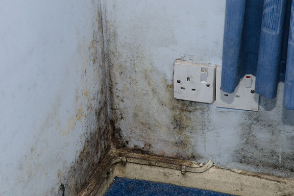 insidehousing's tweet photo. ‘No room for excuses’: DLUHC publishes new damp and mould guidance for landlords #ukhousing https://t.co/51ugjdS545 https://t.co/AMuhwkNBP5