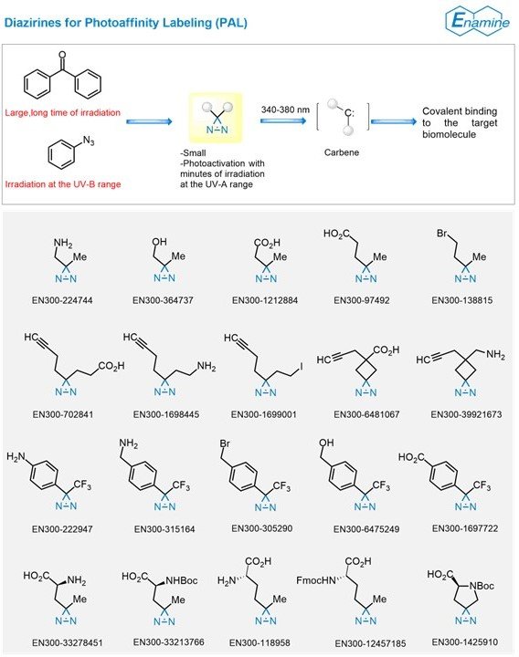 Enamine Ltd 🇺🇦 tweet media