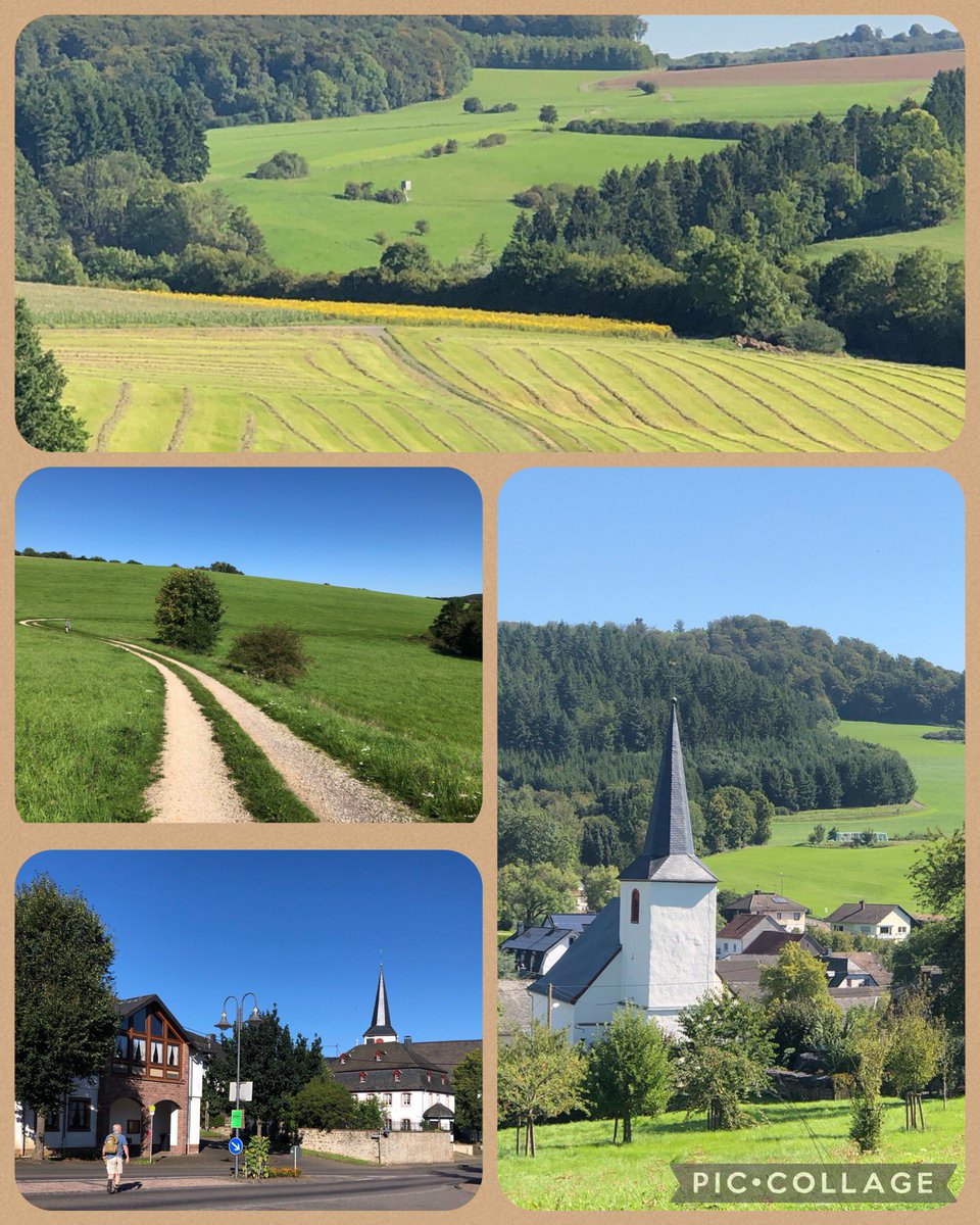 Margretha46's tweet photo. Wandeling in Rockeskyll (Eifel) door uitgestrekte graslanden met prachtige vergezichten, door een landschap met kraters en donkere bossen. Vroeg weggegaan en voor de hitte weer thuis #eifel #natuur #germany #duitsland #wandelen #vulkanen https://t.co/IdcnISsEbS