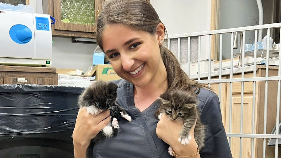 Univ of Scranton tweet media