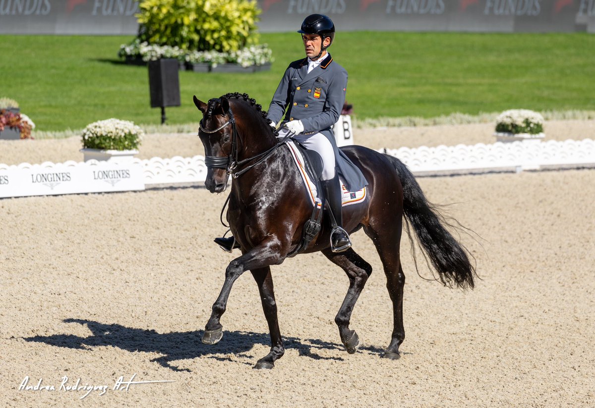 🐎 El equipo español de doma clásica se asegura su presencia en #París2024. ✔️ Destacadas actuaciones de los cuatro jinetes en los Europeos de Riesenbeck (Alemania). 📸 @rfhe_