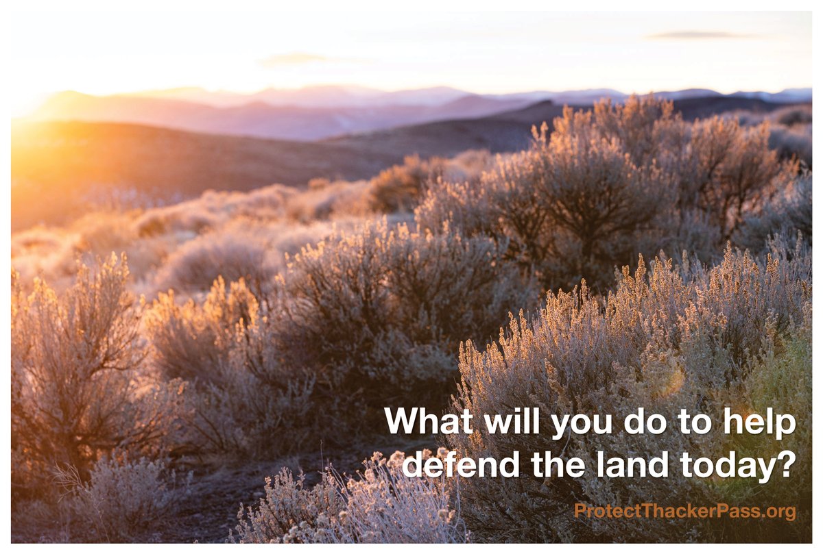 ProtectThPass's tweet photo. What do activists need?
Thousands of people. Tens of thousands of people. Why? Because…
The law will not protect the land: https://t.co/R9wfAvhLoN
#ProtectThackerPass #ProtectPeeheeMuhuh #DefendTheLand #WaterIsLife #LoyaltyToLandAndLife https://t.co/D9goWqdlQU