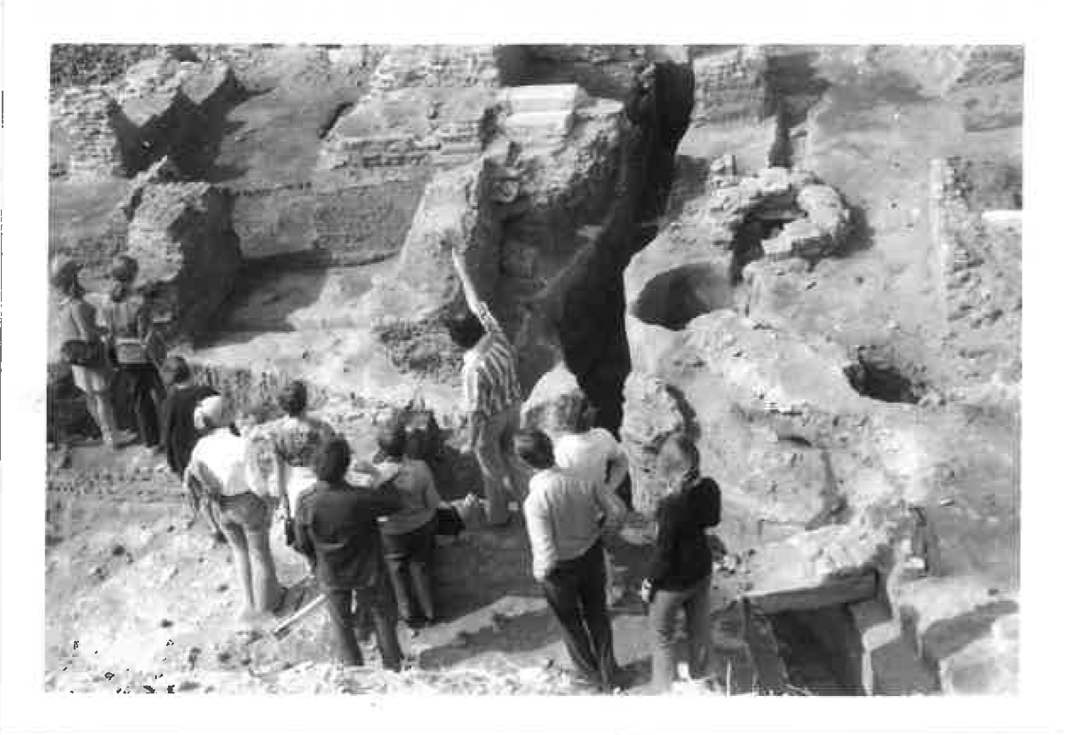 ARCENational's tweet photo. As we continue our 75th Anniversary commemoration, we must mention one of ARCE’s greatest offerings, fellowships.Learn about our fellowships via this link: https://t.co/I3QkwBERwA
#ARCE75 #Fellows #Fellowships #Anniversary #ARCE #Egypt
Photos: 1971-72 Fellows Orientation https://t.co/9toQ2rySZz