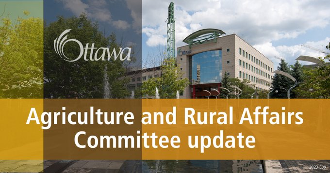 A graphic with Ottawa City Hall is in the background. A vertical grey stripe and a horizontal yellow stripe are in the foreground with " Agriculture and Rural Affairs Committee update" in the centre.