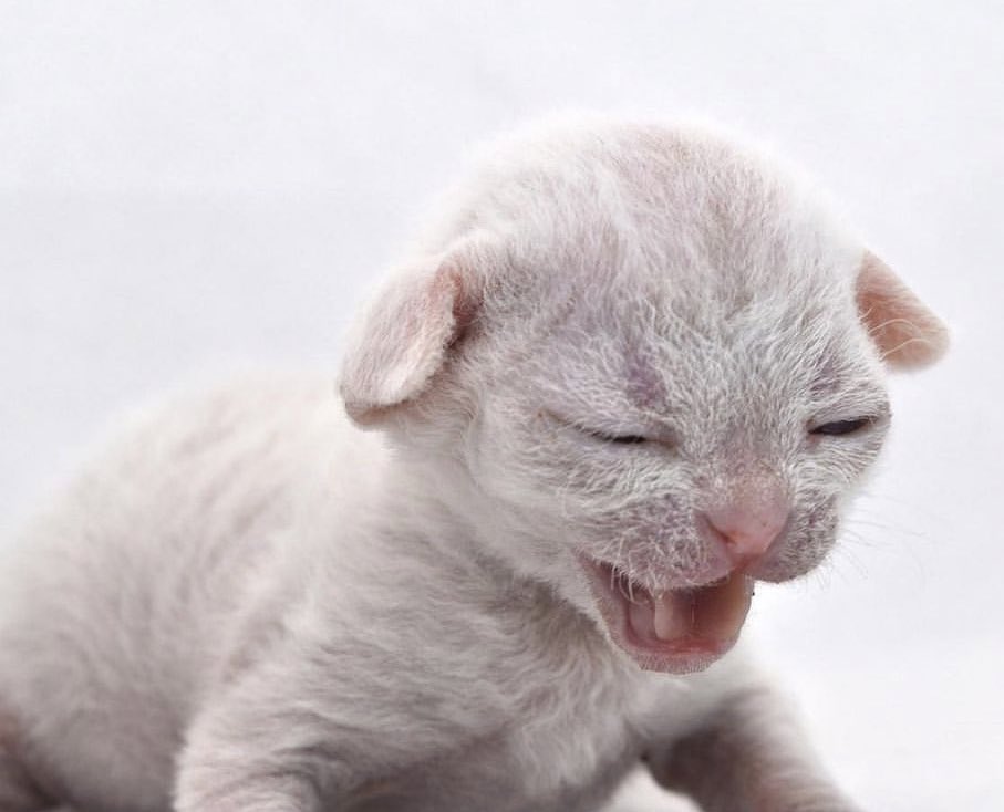 M  r   Me  when   Im    Me when I  when I am     Kityies