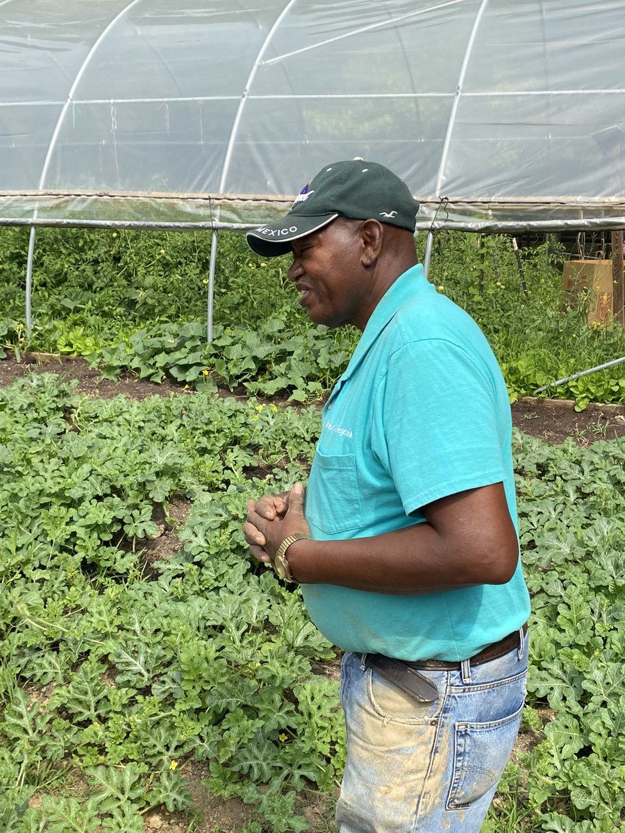 Federation1967's tweet photo. The Federation salutes farmer &amp; cooperative #member James Brewer from Leflore #Mississippi. 
He is a member of the North Delta Produce Association &amp; produces peas, tomatoes, okra, squash, &amp; cucumbers. 
He has been a #FSC/LAF member since 2014

#Black #blackfarmer #fsclaf https://t.co/tKJkQQPkRh