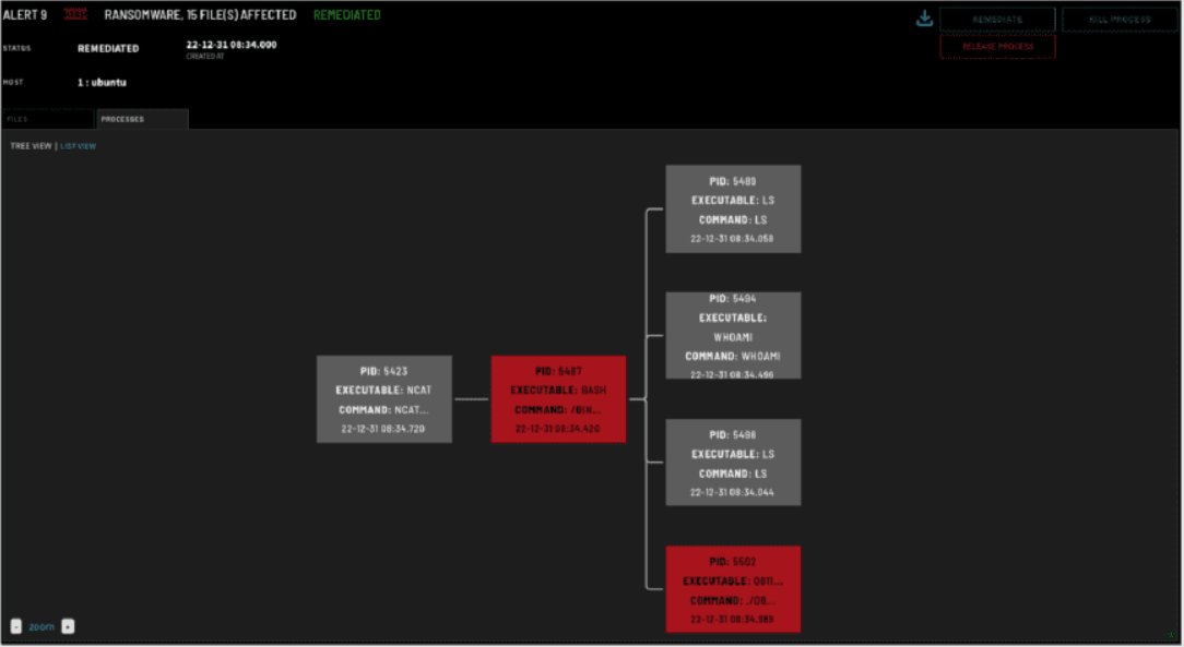 vali_cyber's tweet photo. At Vali Cyber, we believe in efficient &amp; effective #Linux security. 

Easy to deploy, configure, and manage, #ZeroLock goes beyond abilities of traditional #vulnerability software found in legacy Linux #security tools. Schedule a demo today at https://t.co/gGKv86AM2f. https://t.co/NyIXya6CPJ