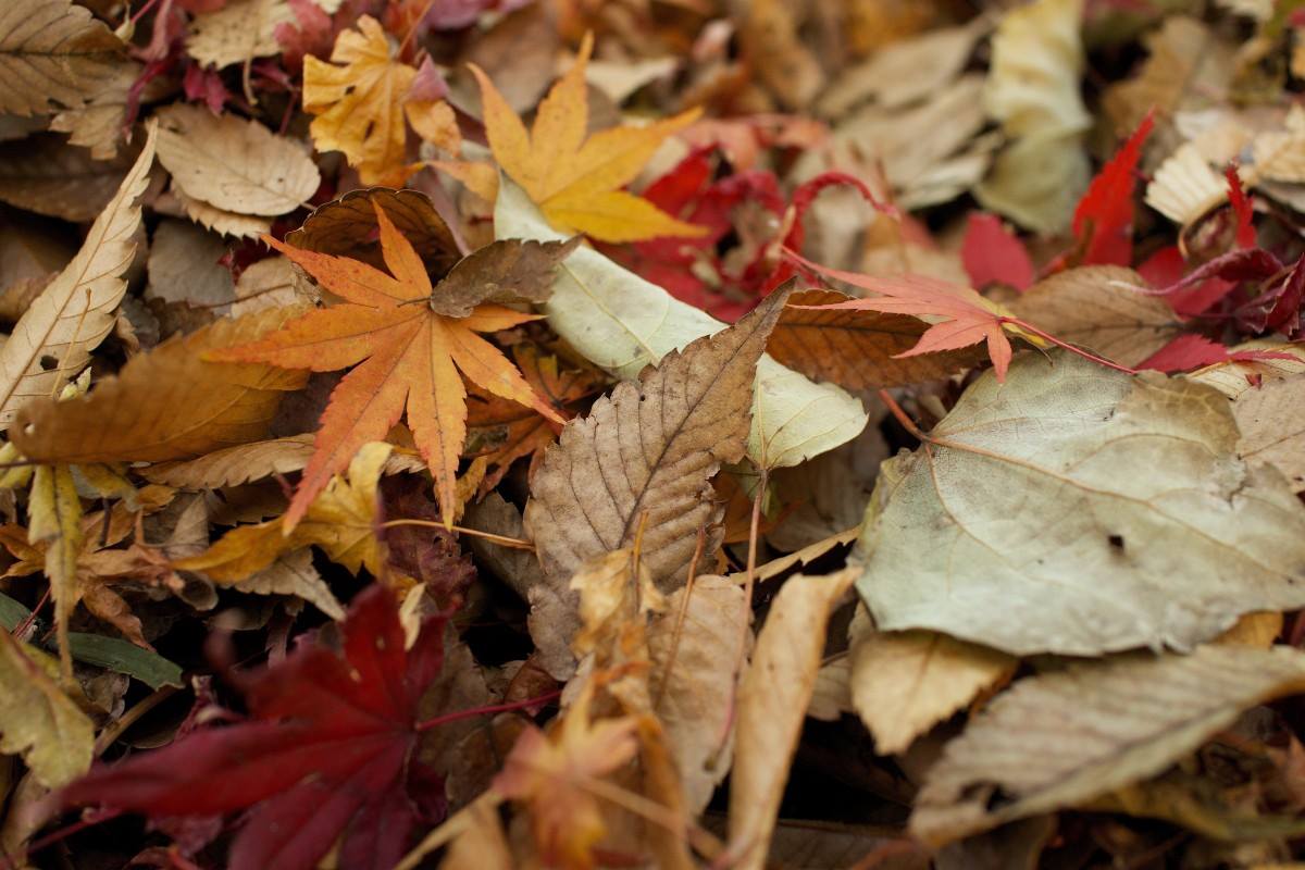RCreativeInc's tweet photo. [🍁ARE YOU READY?🧰] Now is the time to gather your checklist and start preparing for Fall Preventative Maintenance for your properties. These tips will make a difference and put you ahead of schedule! #AutumnMaintenance #Checklist #PropertyManagement https://t.co/YyBSfVvM1F https://t.co/Pk6XYVG6K5
