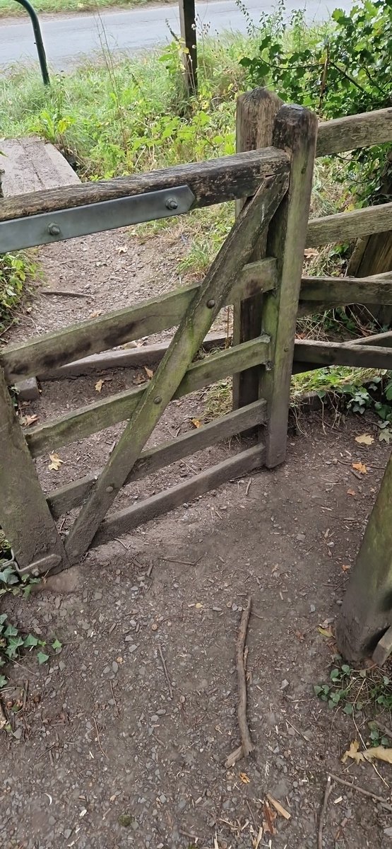 GordonHorne1's tweet photo. I walked my dog in 2020 worried to touch gates like this. Outside. Mad https://t.co/URttVRyLyw