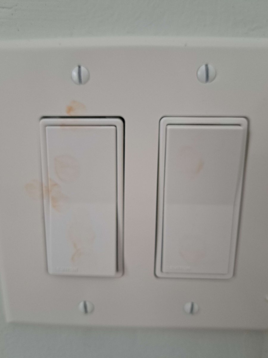 Mica Scotti Kole (On Hiatus) tweet media