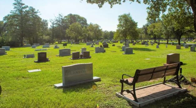 International Cables Network tweet media