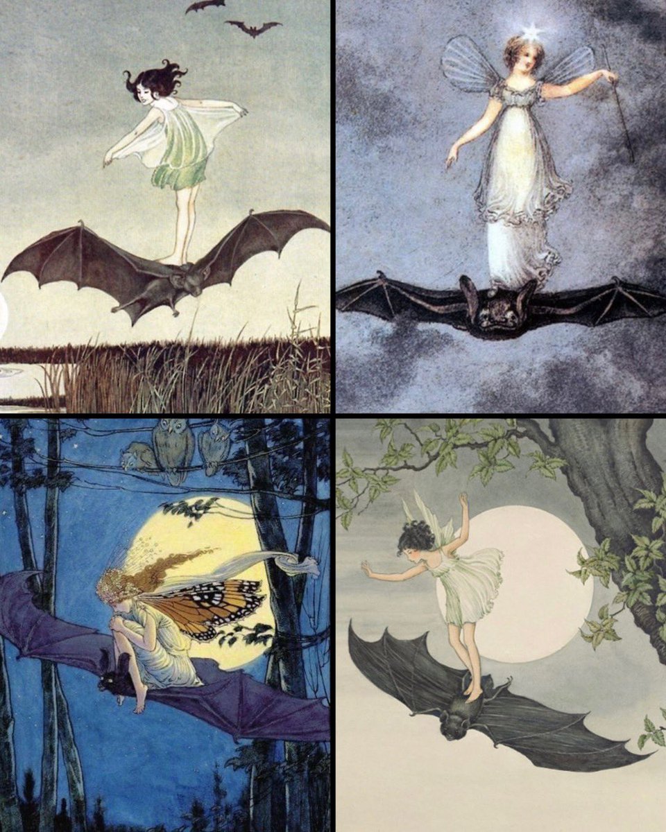 Fairies riding bats 🦇