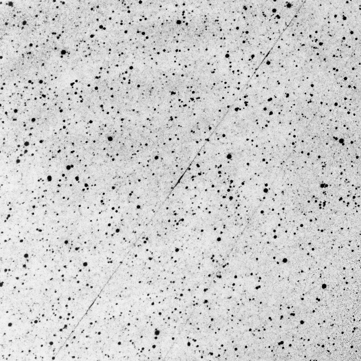 Sudhanshu Barway tweet media