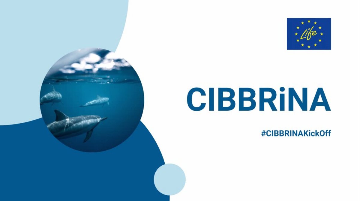minlvvn's tweet photo. 🌊 Samen op de bres tegen bijvangst van bedreigde soorten! @minlnv is initiatiefnemer van het LIFE CIBBRiNA-project om de bijvangst in de Noordzee, Oostzee en Middellandse Zee te verminderen. Vandaag en morgen is de aftrap voor ‘LIFE CIBBRiNA’. #LIFECIBBRiNA #CIBBRiNA #Visserij https://t.co/2p0Hoae92r