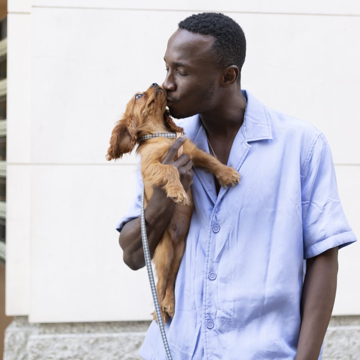 🐾 Chelsea Dog Day cancellation
Saturday 9 September 🐾

The safety of our four-legged friends is our priority and due to the extreme weather predicted, Chelsea Dog Day will not be going ahead.