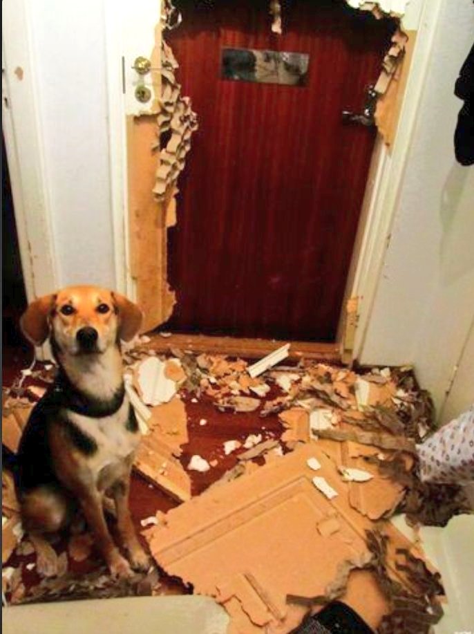 Paul Bronks tweet media