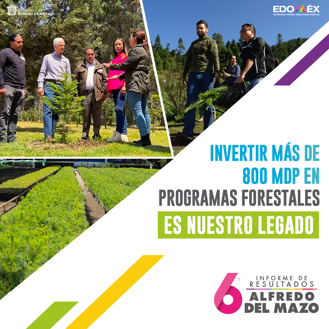 Edomex's tweet photo. Durante la administración del Gobernador @alfredodelmazo se ha trabajo por equilibrar las demandas sociales con la protección del medio ambiente; impulsar programas forestales es parte de los #LegadosEdoméx.
#6toInformeEdoméx https://t.co/MXM0GR34XS