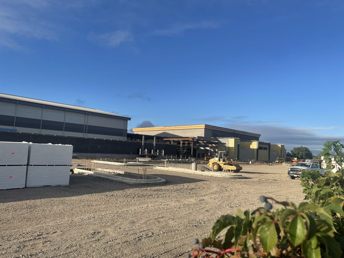 Blugold Football tweet media