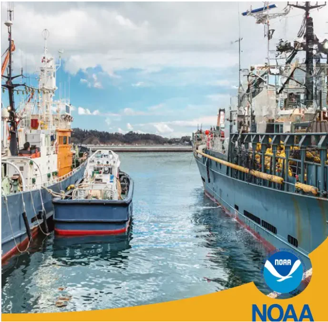 Totalmente fuera de lugar esta resolución de la NOAA. Todos sabemos que en Costa Rica la pesca ilegal avanza sin ningún freno ni ningún control. 

cremacr.org/costa-rica-rec…