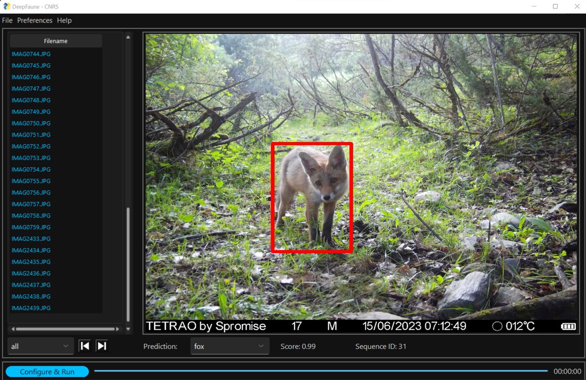 cameratraps1's tweet photo. @DeepFauneCNRS is a user-friendly software to classify #cameratrap images
It returns:
▶️a spreadsheet with the classifications
▶️also allows to copy or move the images within distinct folders according to the classifications
I was playing around with #DeepFaune, and...
🧵🔽 https://t.co/qm7B21NdwT