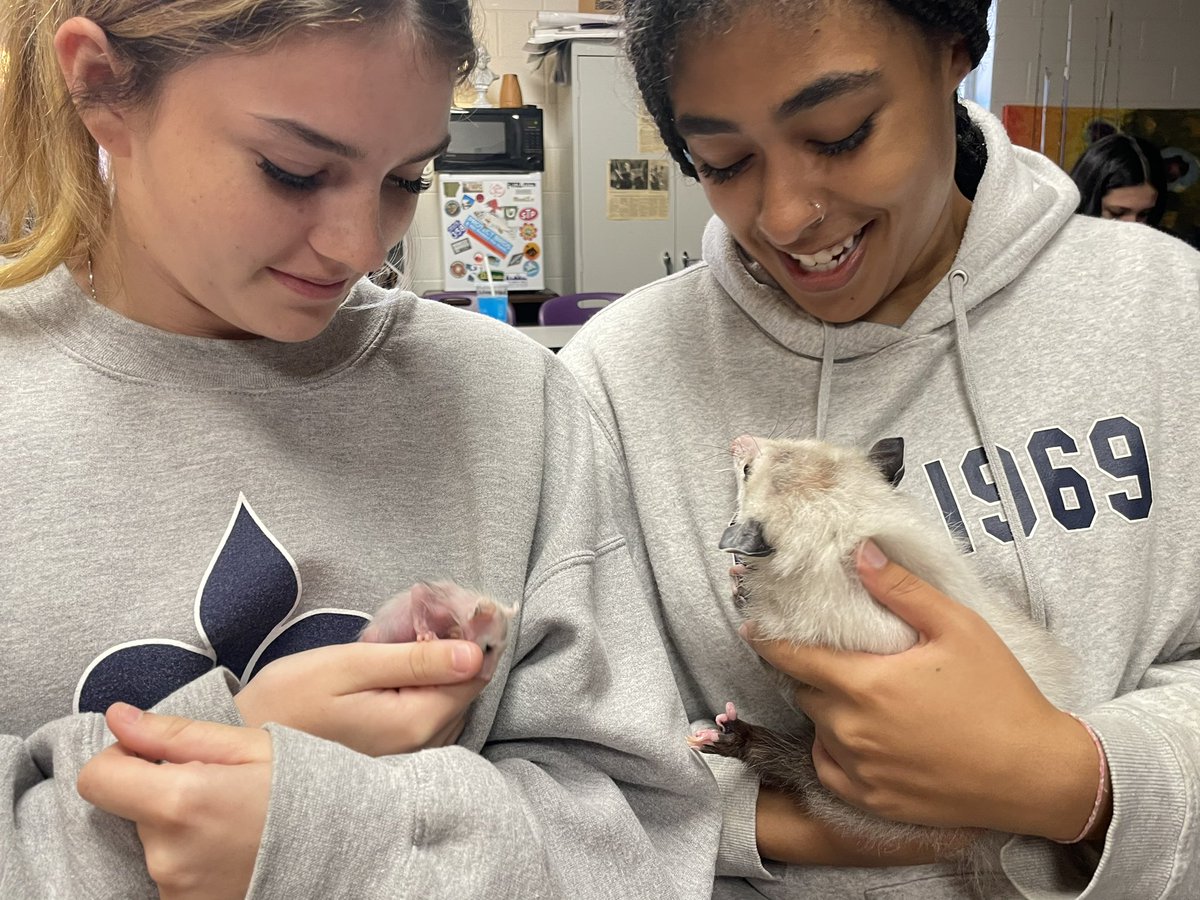 allpsoutdoored's tweet photo. Outdoor Ed had some visitors in class today for their Wildlife ID unit! #allps https://t.co/N54uMFj5U6